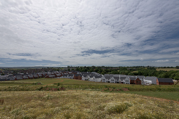 2015_Milbury_Farm_Meadow_Jun29_272