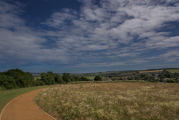 2015_Milbury_Farm_Meadow_Jun29_004
